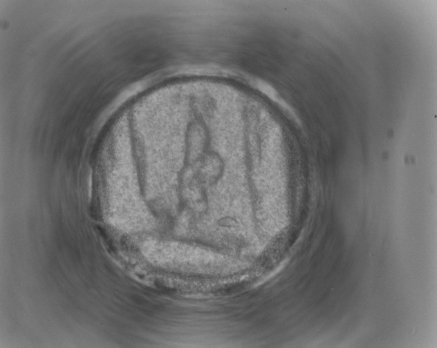 X0000082681221200702232129