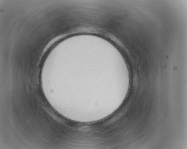 X0000082681222200702232129