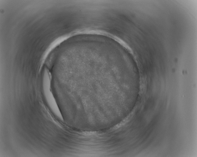 X0000082681223200702232129