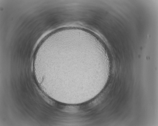 X0000082681224200702232129