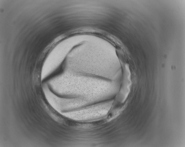 X0000082681225200702232129