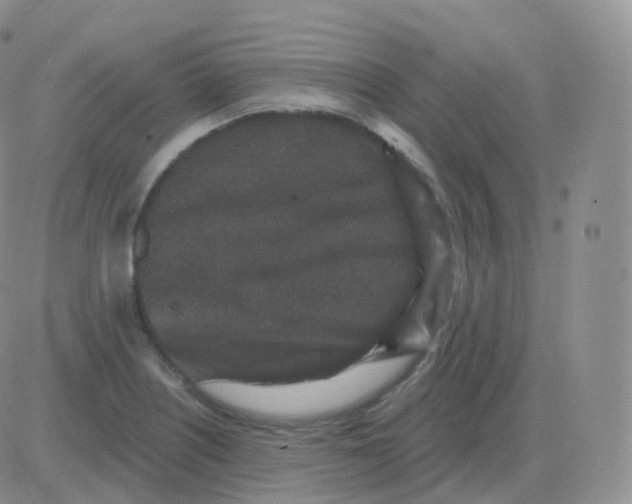 X0000082681226200702232129