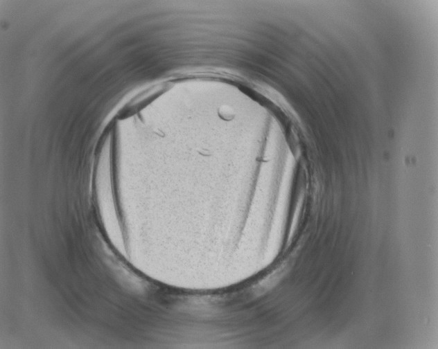 X0000082681228200702232129