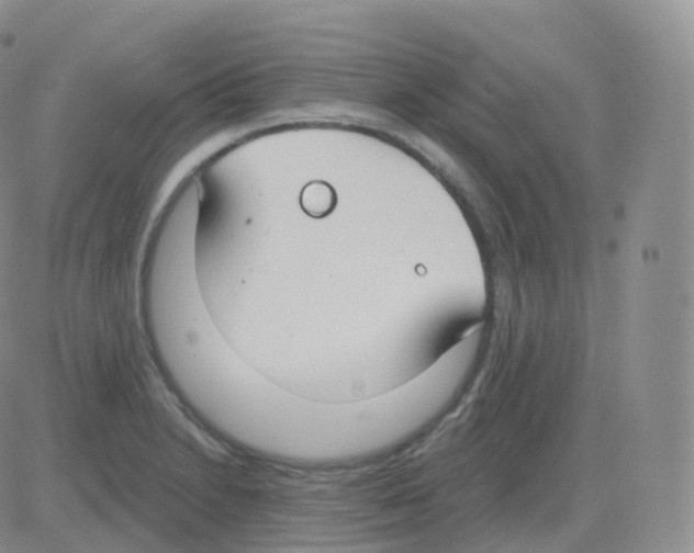 X0000082681230200702232130