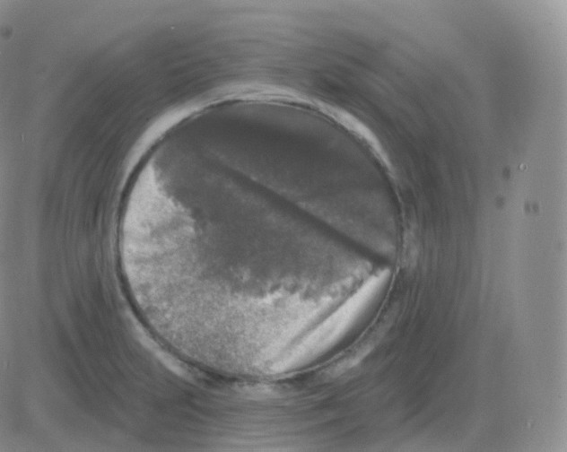 X0000082681231200702232130