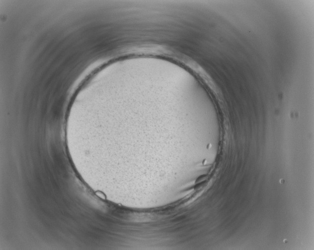 X0000082681232200702232130