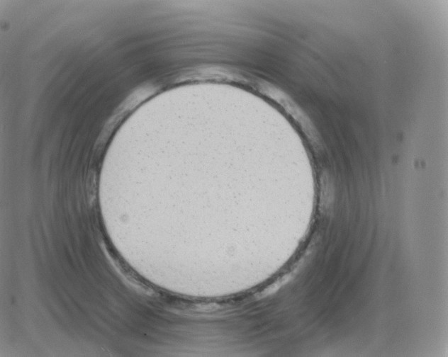 X0000082681233200702232130