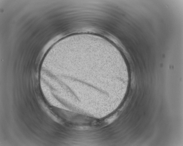 X0000082681234200702232130