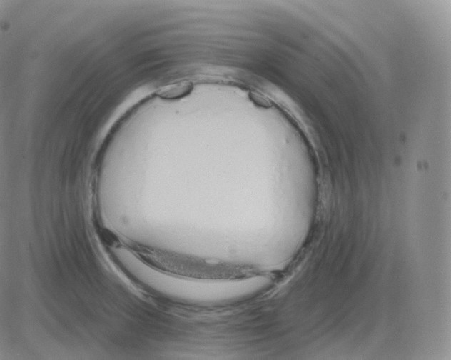 X0000082681235200702232130