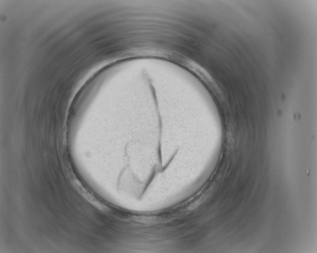 X0000082681236200702232130