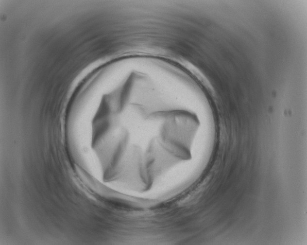 X0000082681238200702232130