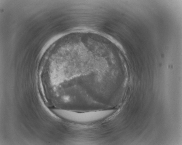 X0000082681239200702232130