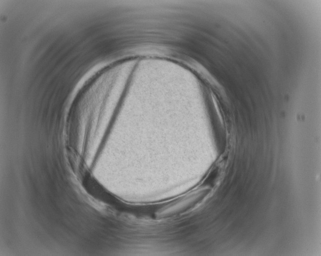 X0000082681240200702232130