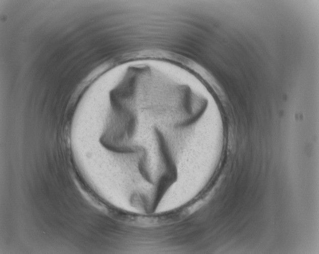 X0000082681241200702232130