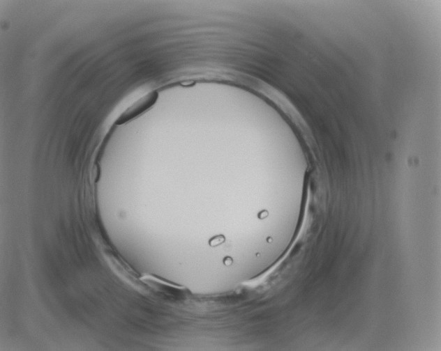 X0000082681242200702232130