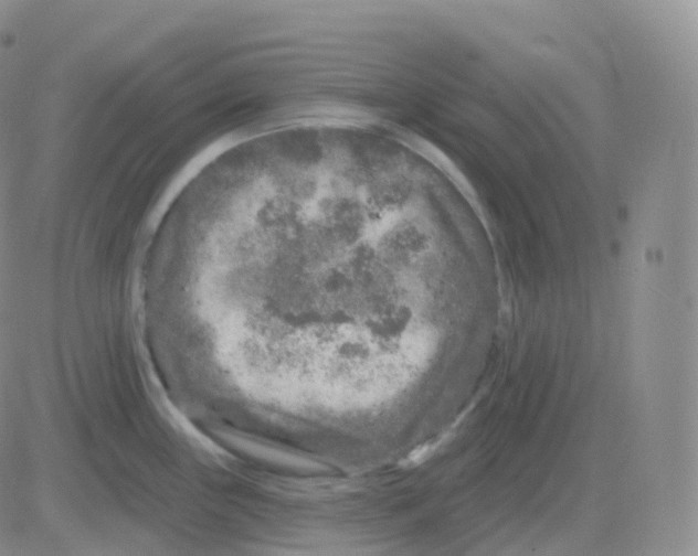 X0000082681243200702232130