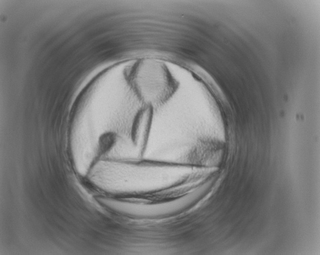 X0000082681244200702232130