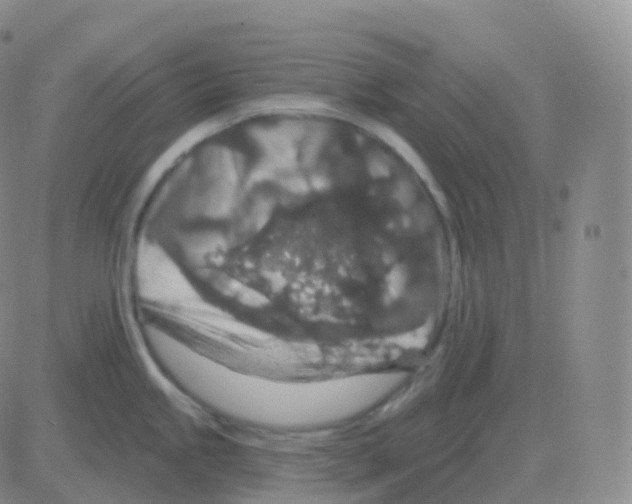 X0000082681245200702232130