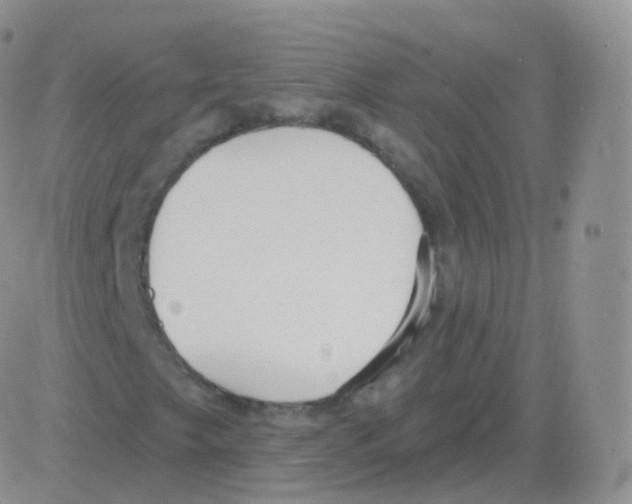 X0000082681249200702232129