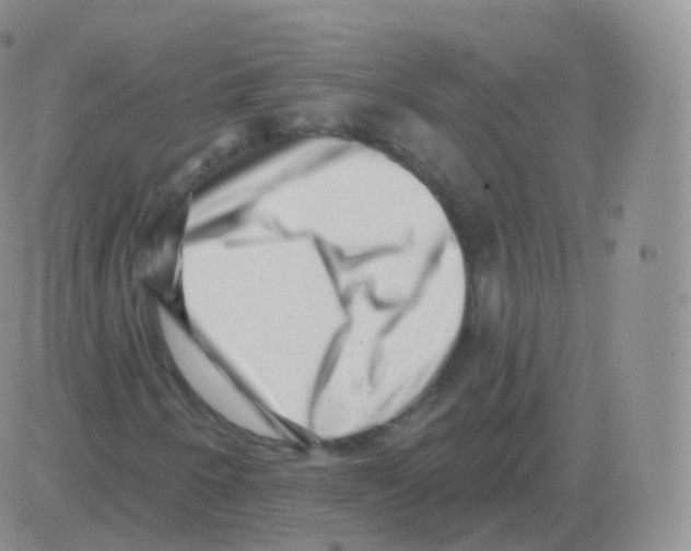 X0000082681250200702232129