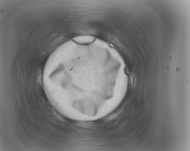 X0000082681251200702232129