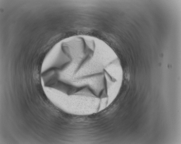 X0000082681252200702232129