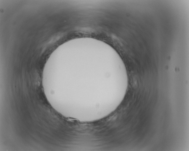 X0000082681253200702232129