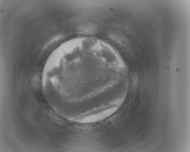 X0000082681254200702232129