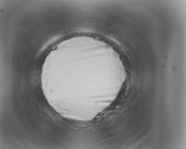 X0000082681255200702232129