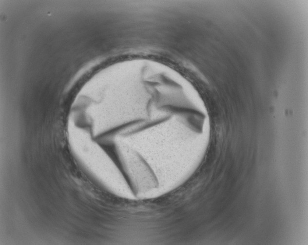 X0000082681256200702232129