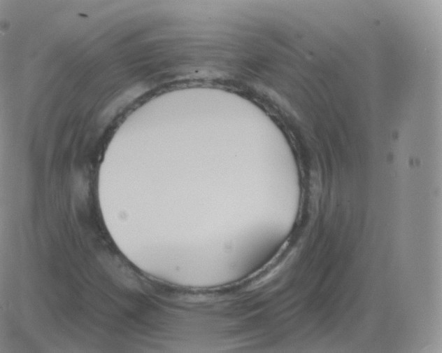 X0000082681257200702232129