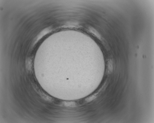 X0000082681258200702232129