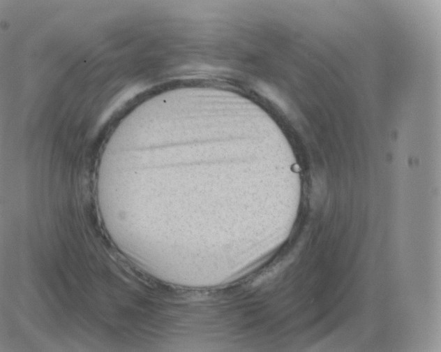 X0000082681259200702232129