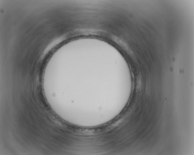 X0000082681261200702232129