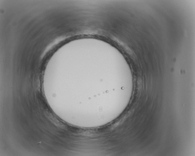 X0000082681262200702232129