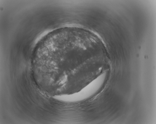 X0000082681263200702232129