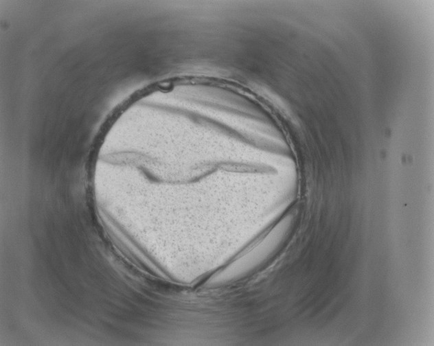 X0000082681264200702232129