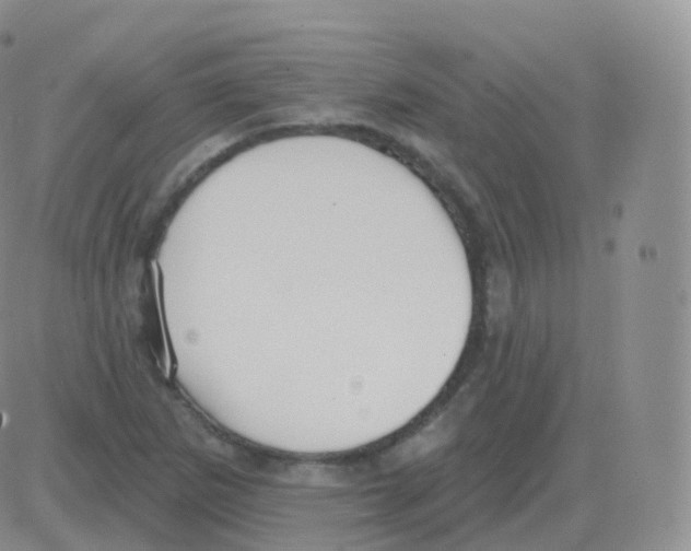 X0000082681265200702232129