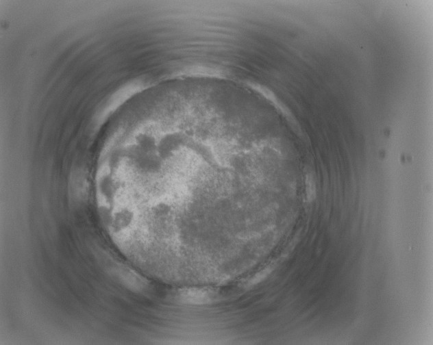 X0000082681266200702232129