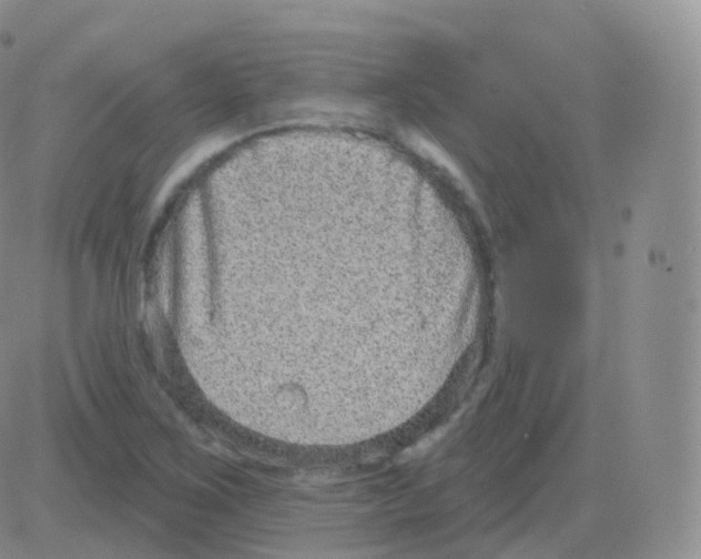 X0000082681267200702232129