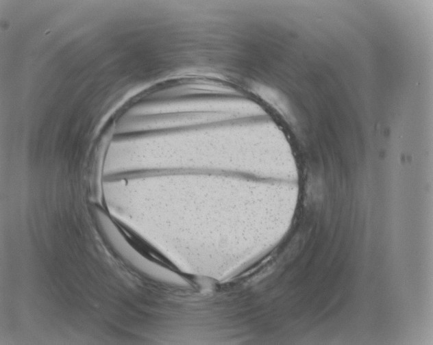 X0000082681268200702232129