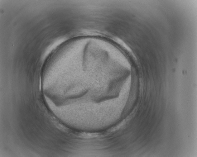 X0000082681269200702232129