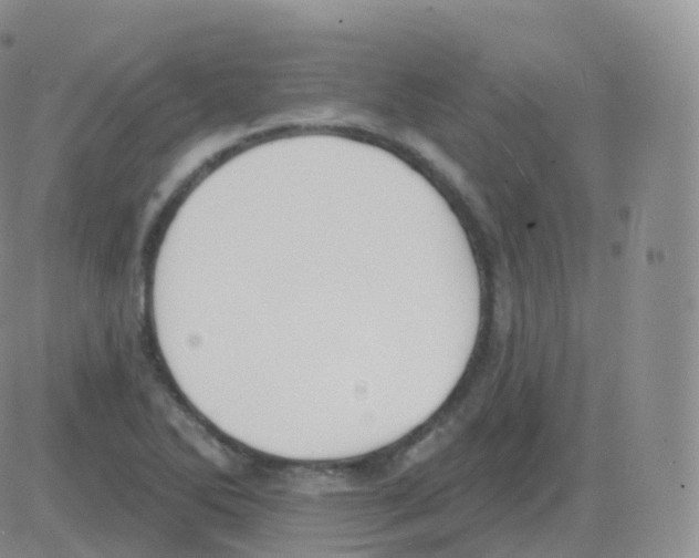 X0000082681270200702232129