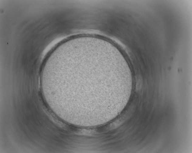 X0000082681271200702232129