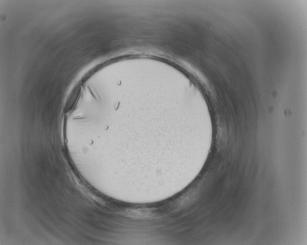 X0000082681272200702232129