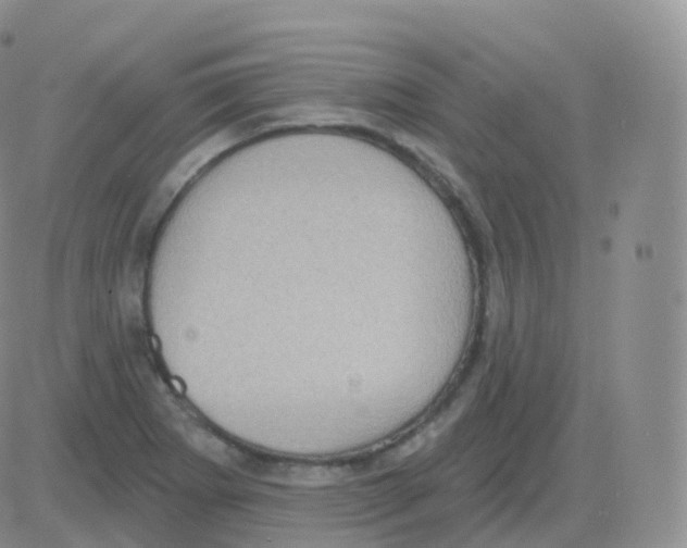 X0000082681273200702232129