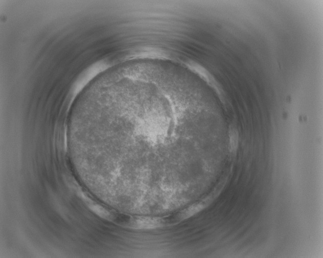 X0000082681274200702232129