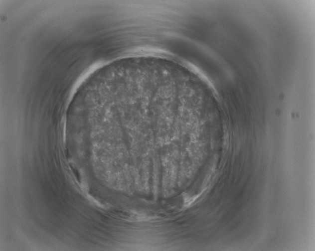 X0000082681275200702232129