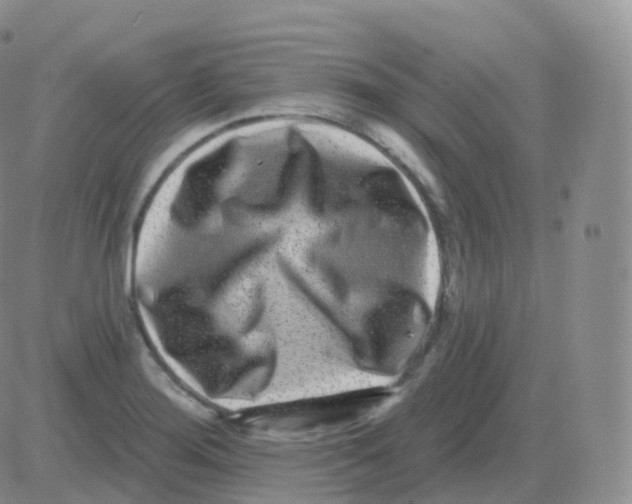 X0000082681276200702232129