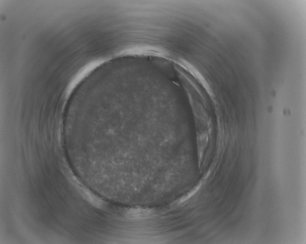 X0000082681277200702232129